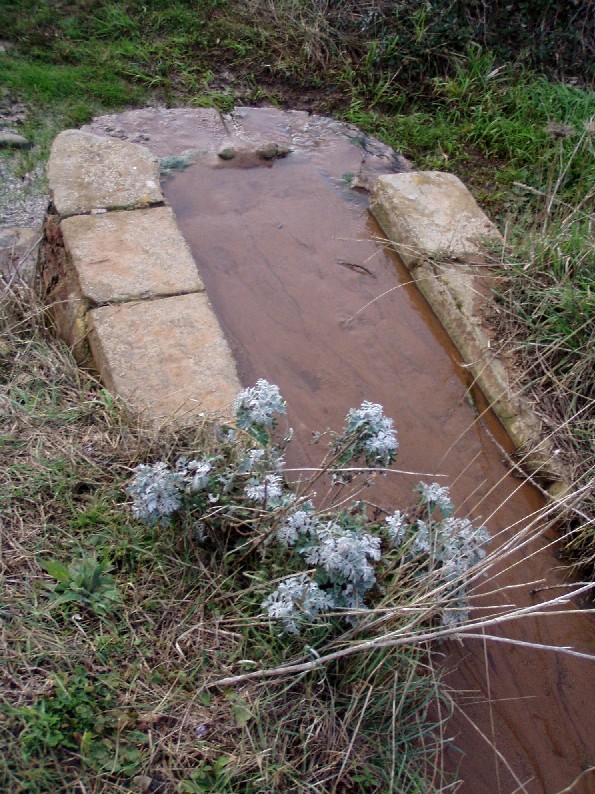 Fontanili della Toscana